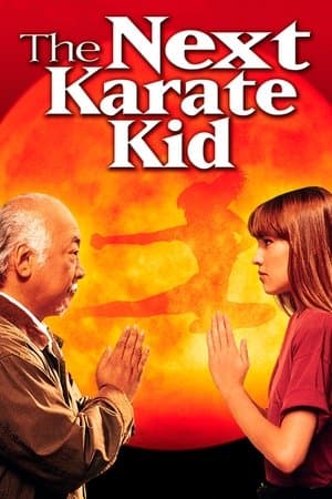 The Next Karate Kid thumbnail