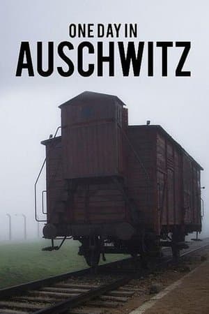 One Day in Auschwitz thumbnail