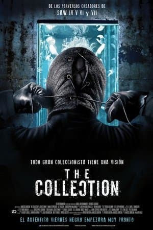 The Collection thumbnail